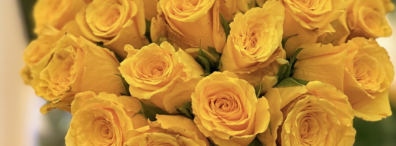 My Sacred Healing Space